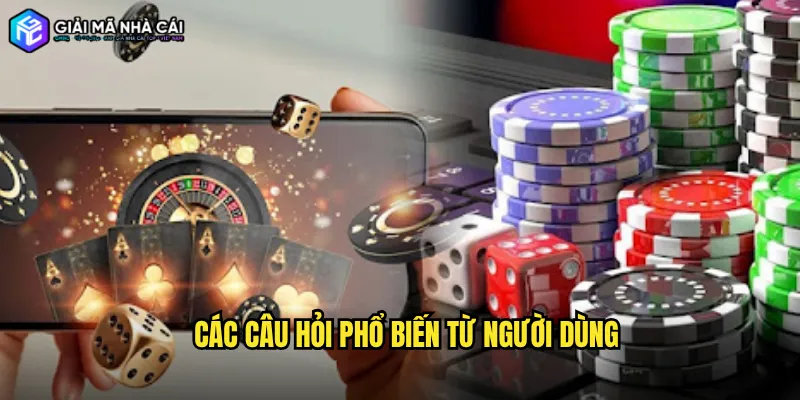 Các câu hỏi phổ biến từ người dùng